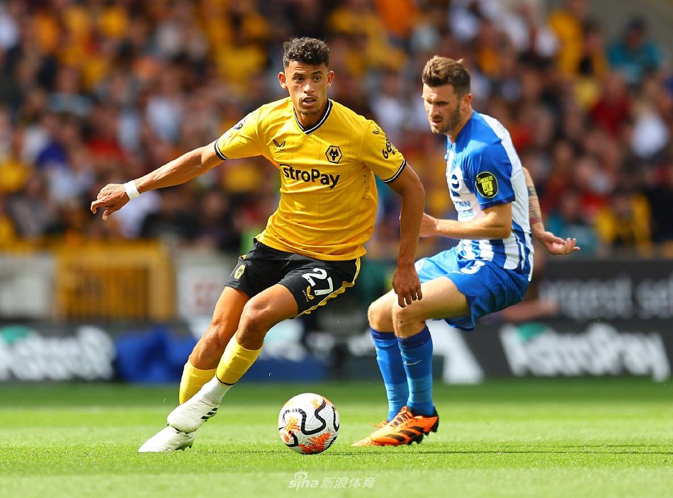 真人格斗 真人格斗